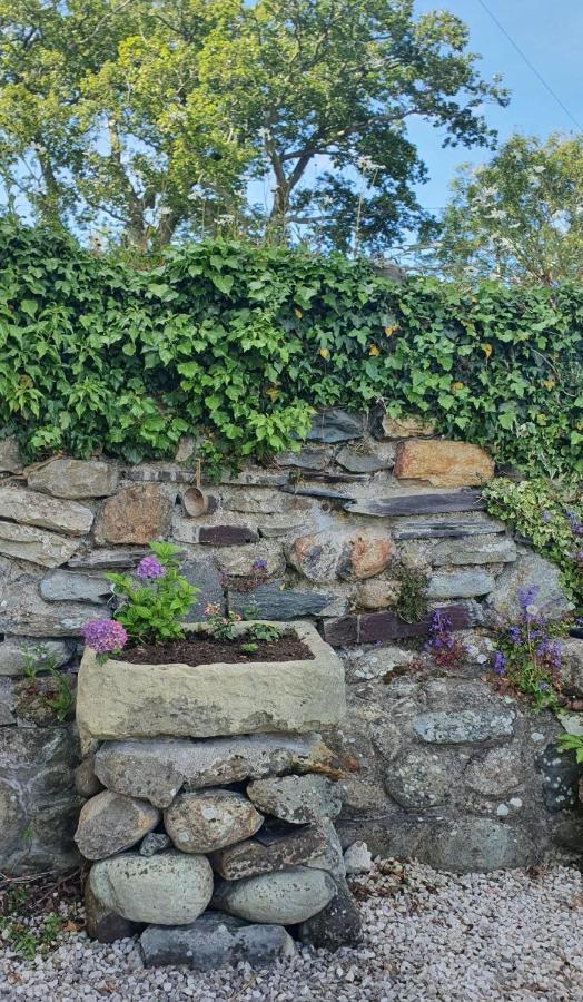 Green Cottage - Snowdonia Llanllechid Esterno foto